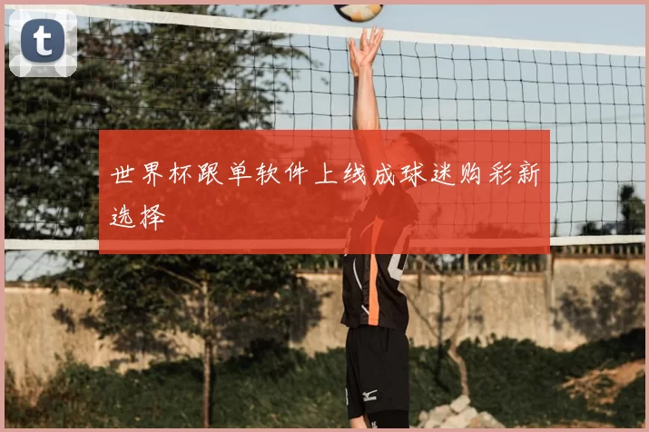 世界杯跟单软件上线成球迷购彩新选择