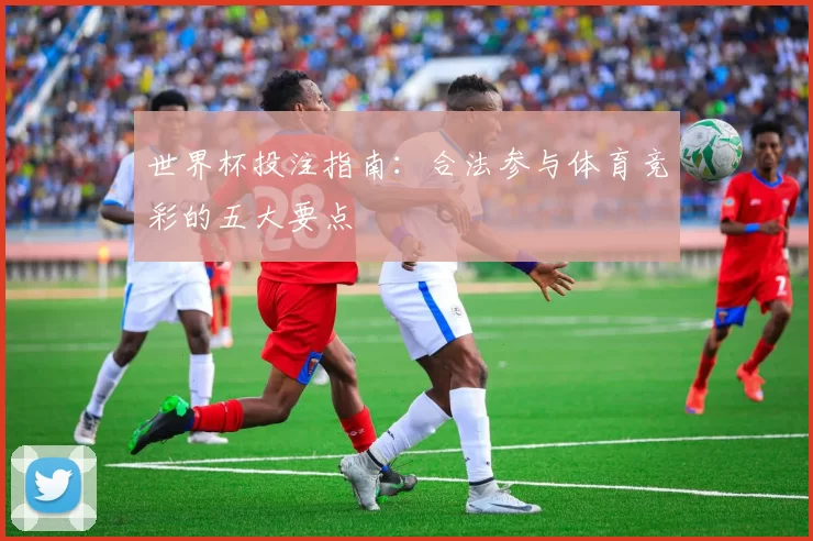世界杯投注指南:合法参与体育竞彩的五大要点