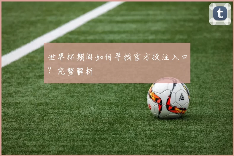 世界杯期间如何寻找官方投注入口?完整解析