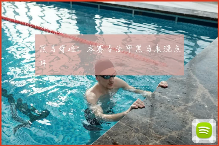 黑马奇迹:本赛季法甲黑马表现点评