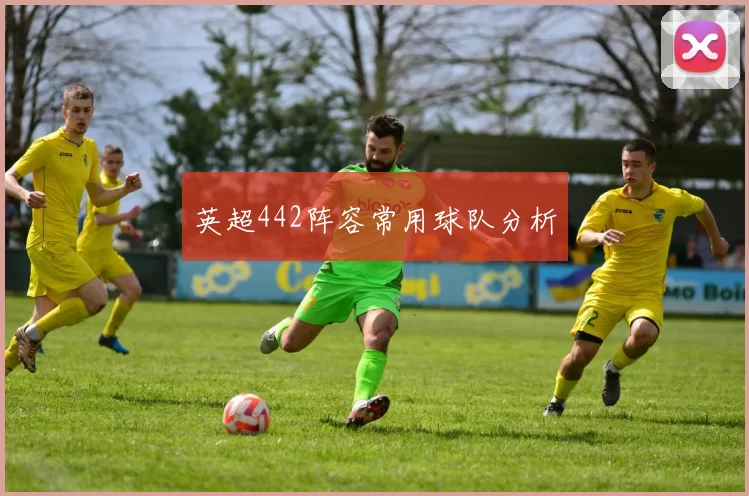 英超442阵容常用球队分析