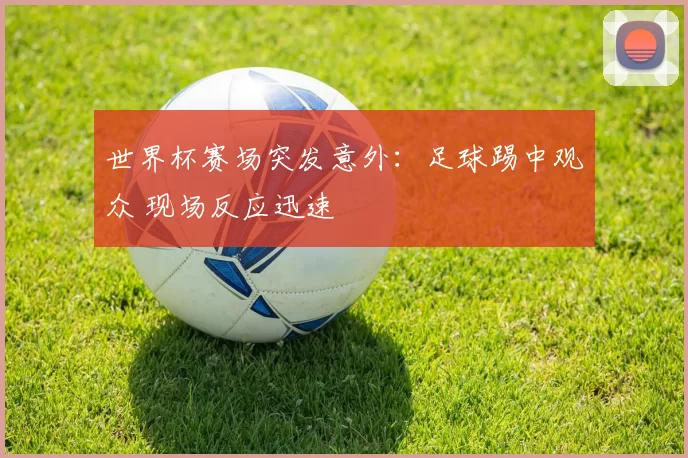 世界杯赛场突发意外:足球踢中观众 现场反应迅速