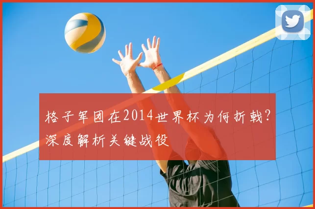 格子军团在2014世界杯为何折戟?深度解析关键战役