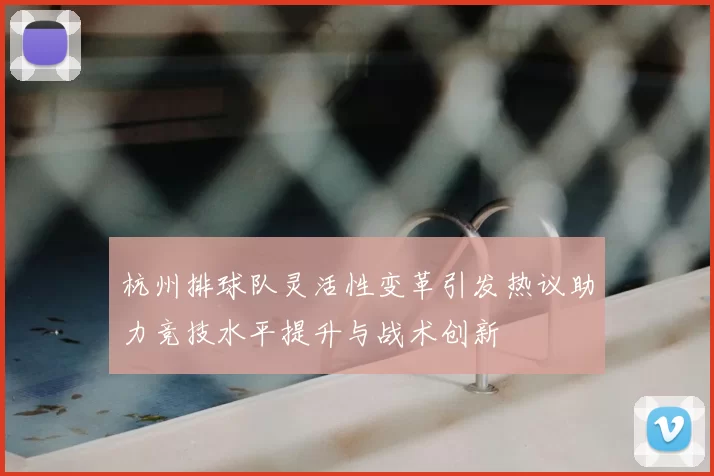 杭州排球队灵活性变革引发热议助力竞技水平提升与战术创新