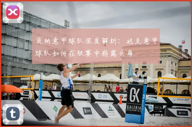 莫纳意甲球队深度解析:这支意甲球队如何在联赛中崭露头角