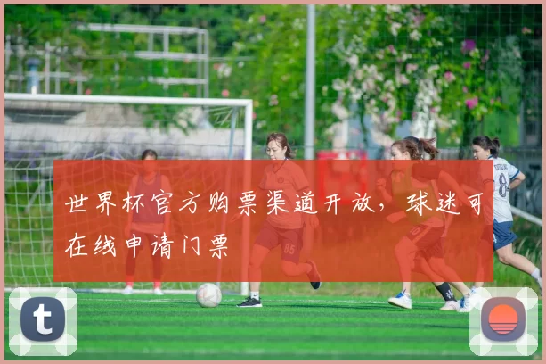 世界杯官方购票渠道开放，球迷可在线申请门票