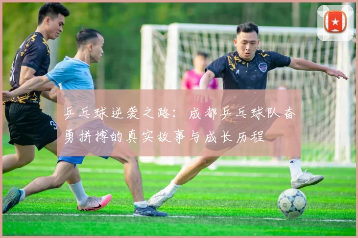 乒乓球逆袭之路:成都乒乓球队奋勇拼搏的真实故事与成长历程