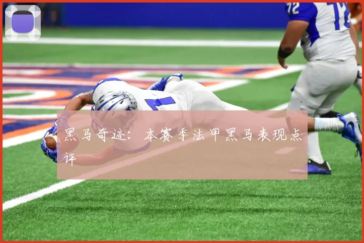 黑马奇迹:本赛季法甲黑马表现点评